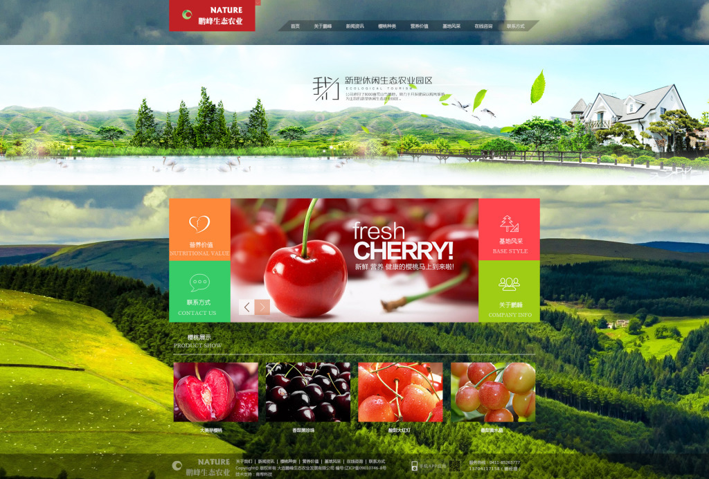 櫻桃網(wǎng)站設(shè)計(jì) 構(gòu)建視覺誘人與功能并重的在線空間