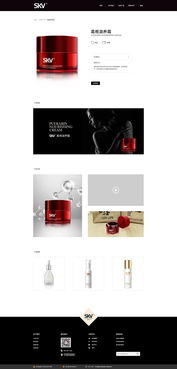 從像素到體驗(yàn) 網(wǎng)頁與網(wǎng)站設(shè)計(jì)的藝術(shù)與技術(shù)融合